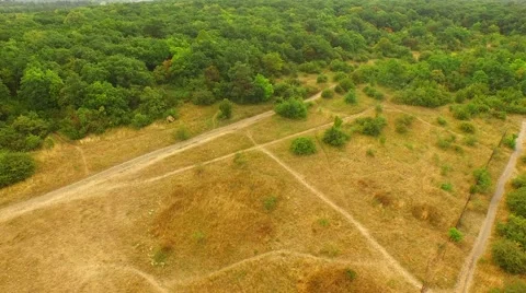 Flight over forest Stock Footage 52689551