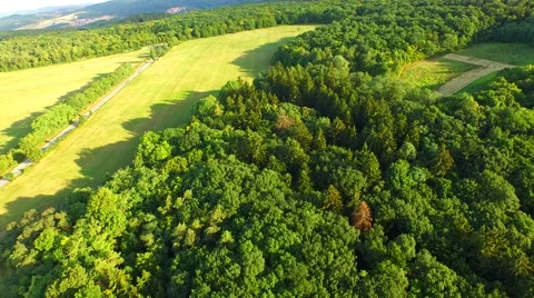Flight over forest Stock Footage 52689553