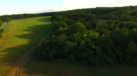 Flight over forest Stock Footage 52689665