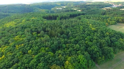 Flight over forest Stock Footage 52689751