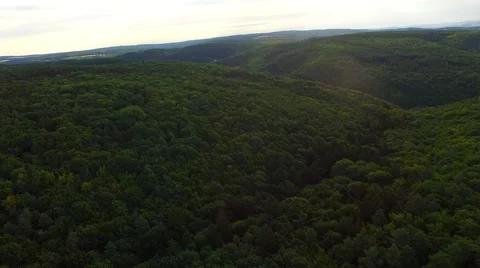 Flight over forest Stock Footage 52690197