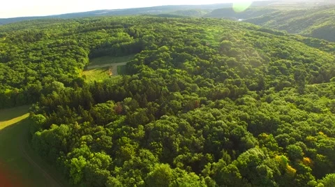 Flight over forest Stock Footage 52690688