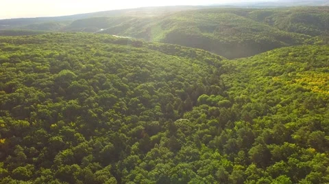 Flight over forest Stock Footage 52690703