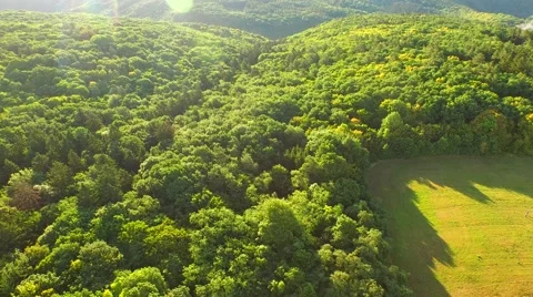 Flight over forest Stock Footage 52690787