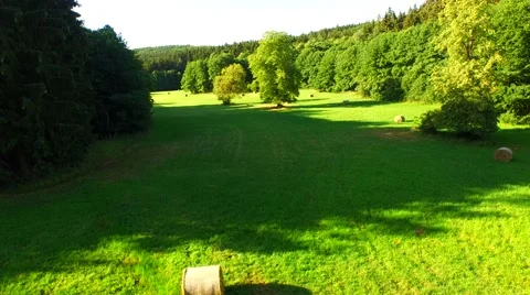 Flight over forest Stock Footage 52690879