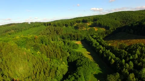 Flight over forest Stock Footage 52691335