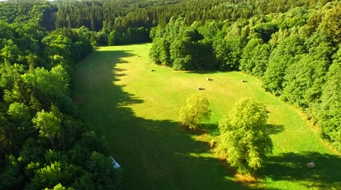 Flight over forest Stock Footage 52691340