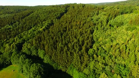 Flight over forest Stock Footage 52691807
