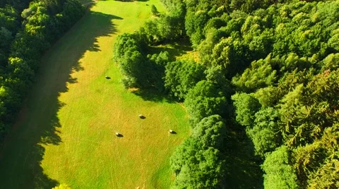 Flight over forest Stock Footage 52691828