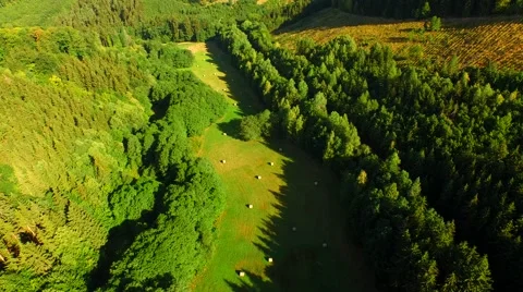 Flight over forest Stock Footage 52691938