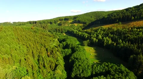 Flight over forest Stock Footage 52692046