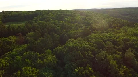 Flight over forest Stock Footage 52692171