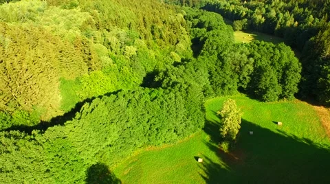 Flight over forest Stock Footage 52692418