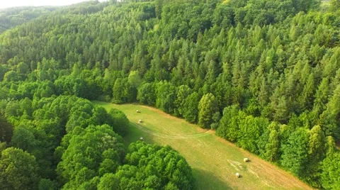 Flight over forest Stock Footage 52913536