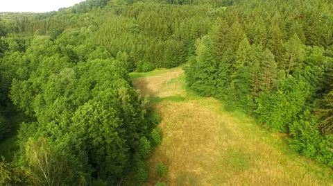 Flight over forest Stock Footage 52924773
