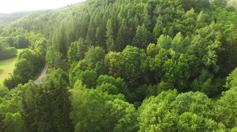 Flight over forest Stock Footage 52924867