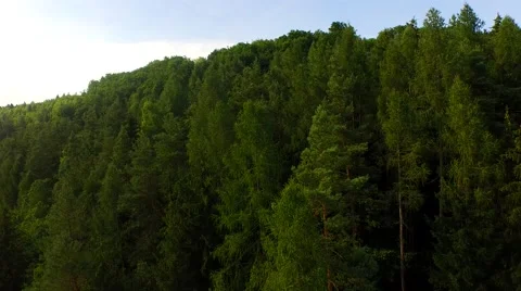 Flight over forest Stock Footage 52924938