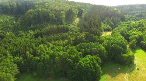 Flight over forest Stock Footage 52924956