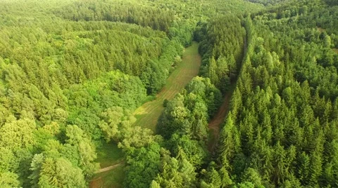 Flight over forest Stock Footage 52925029