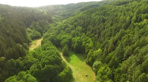 Flight over forest Stock Footage 52925113