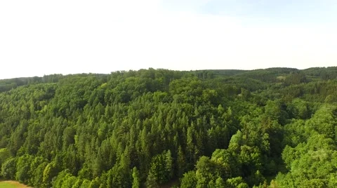 Flight over forest Stock Footage 52925147