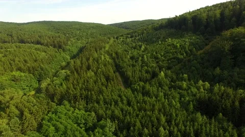 Flight over forest Stock Footage 52925157