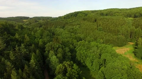 Flight over forest Stock Footage 52925330
