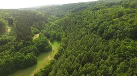 Flight over forest Stock Footage 52925338
