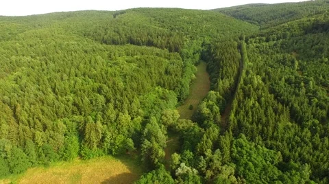 Flight over forest Stock Footage 52925391
