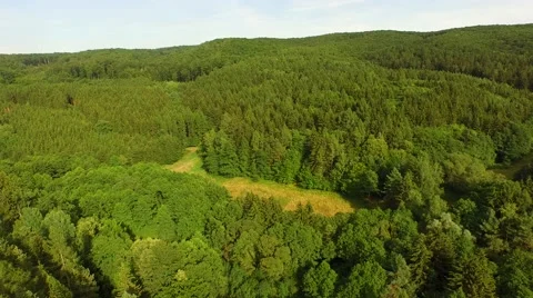 Flight over forest Stock Footage 52925409