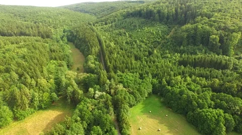 Flight over forest Stock Footage 52925415