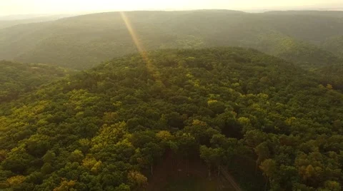Flight over forest Stock Footage 53304635