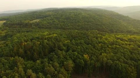 Flight over forest Stock Footage 53305014