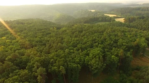 Flight over forest Stock Footage 53305142