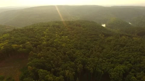Flight over forest Stock Footage 53305333