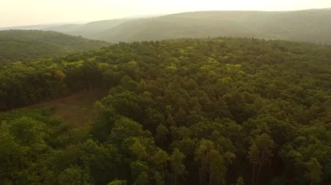 Flight over forest Stock Footage 53305562