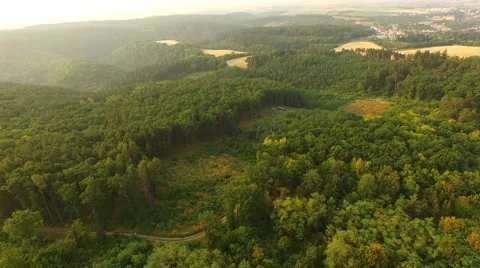 Flight over forest Stock Footage 53305582