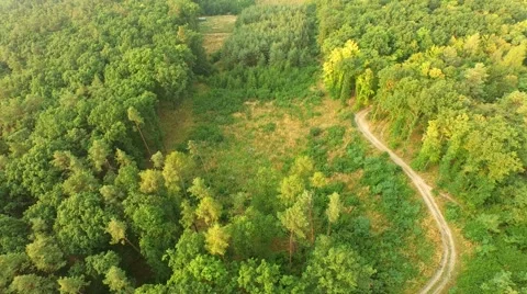 Flight over forest Stock Footage 53306774