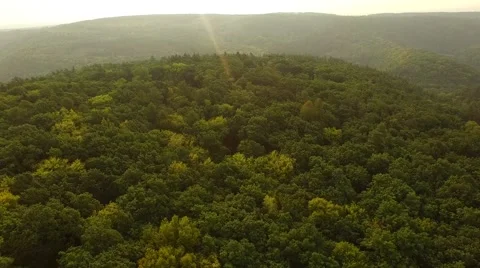 Flight over forest Stock Footage 53307216