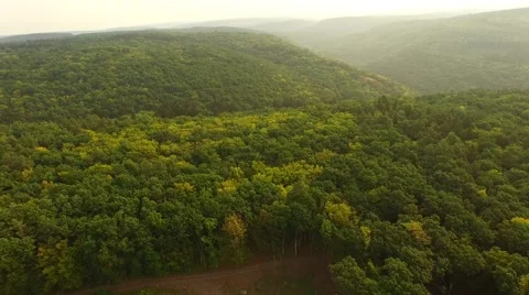 Flight over forest Stock Footage 53307406