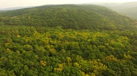 Flight over forest Stock Footage 53308761