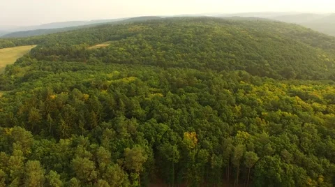Flight over forest Stock Footage 53308777