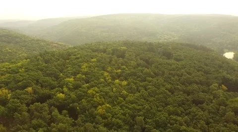 Flight over forest Stock Footage 53308860
