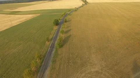 Flight over forest Stock Footage 53364082