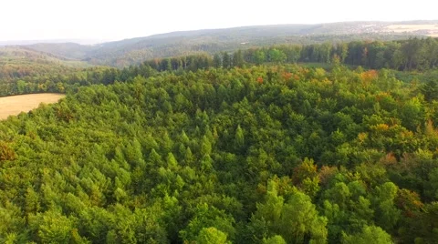 Flight over forest Stock Footage 53364106
