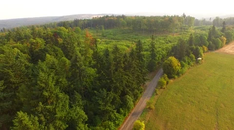 Flight over forest Stock Footage 53364345