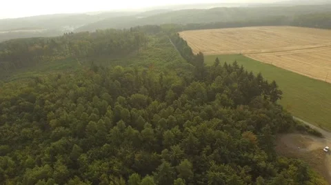 Flight over forest Stock Footage 53364588