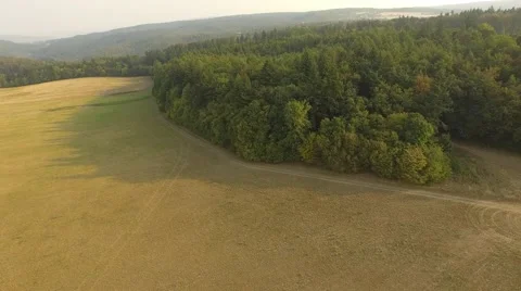 Flight over forest Stock Footage 53364656