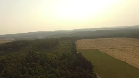 Flight over forest Stock Footage 53364693