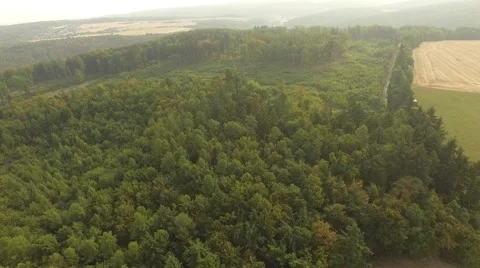 Flight over forest Stock Footage 53364814